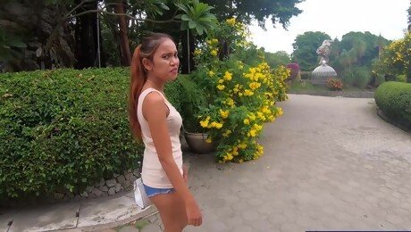 Crocodiles munching and Thai GF cumming